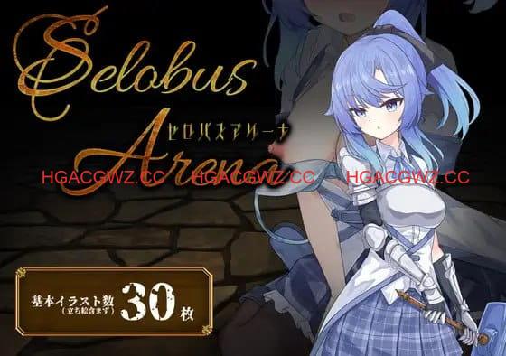【精品/RPG/AI汉化/MTool】塞洛布斯竞技场v1.0【PC/2.7G】SelobusArena v1.0